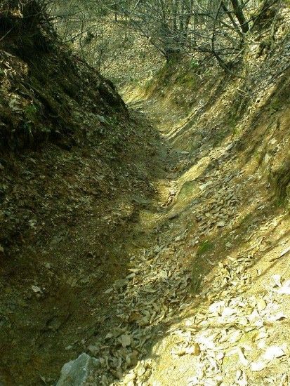 Secret Home Trail5