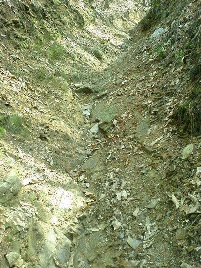 Secret Home Trail6