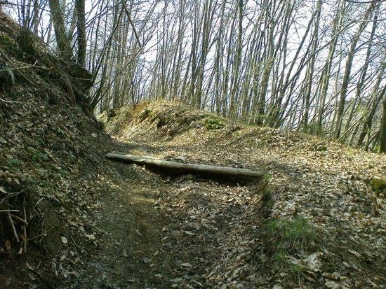 Secret Home Trail8