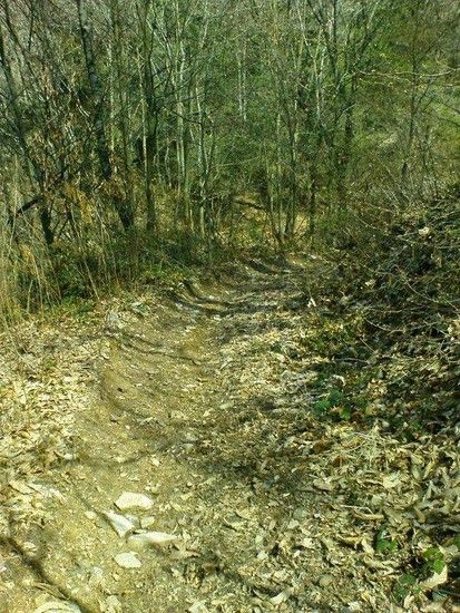 Secret Home Trail9