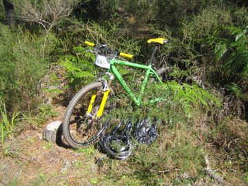 IMG 2568