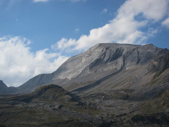 IMG 0802