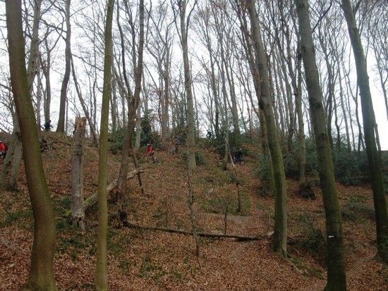 MTBSonntag002 1329057998