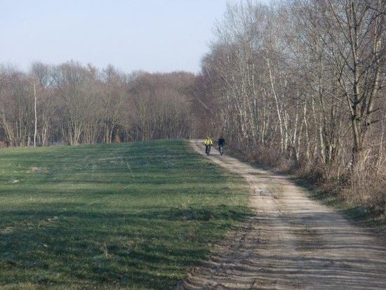 MTBSonntag005 1328448424