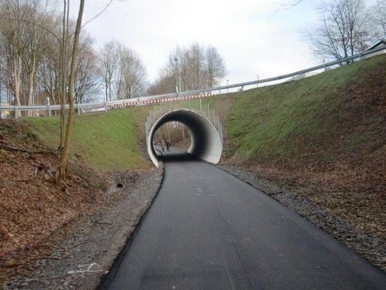 MTBSonntag006 1326634192