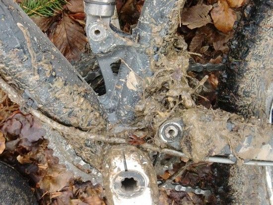MTBSonntag009 1329662802