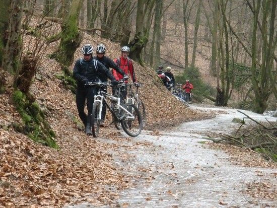 MTBSonntag022 1329058039