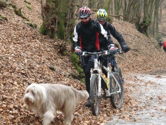 MTBSonntag025 1329058046