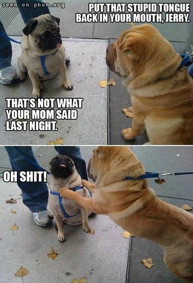 lol