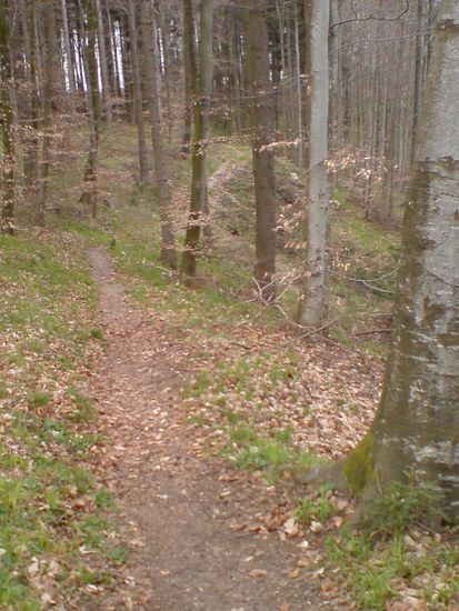 DSC00306