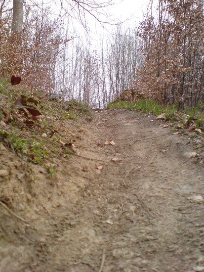 DSC00308