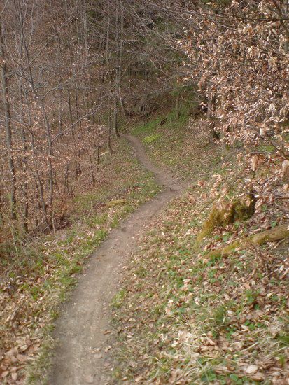 DSC00311