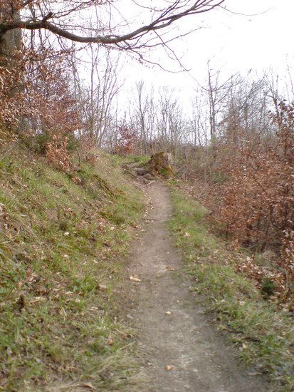 DSC00313