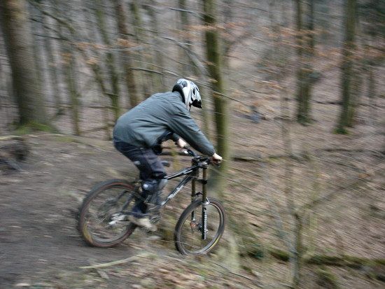 Bild 005