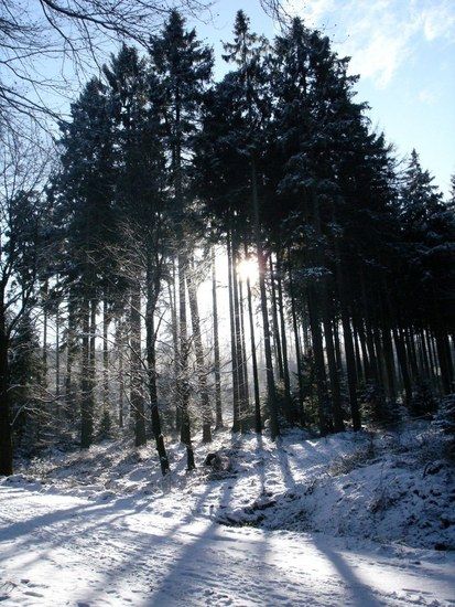 winter