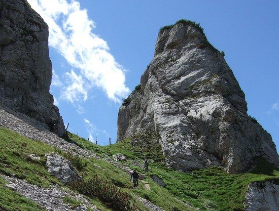 steinbeißer