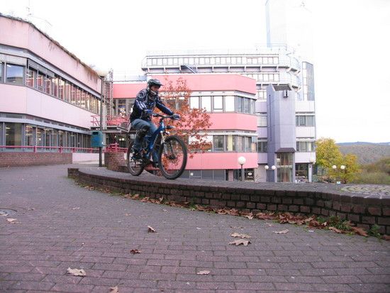 IMG 1067