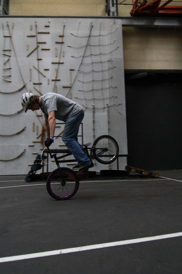 Bild305