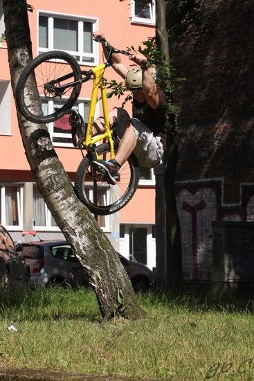 TrialKlnIMG 6180