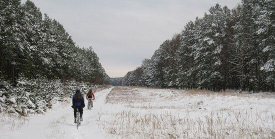 Prosit eKienbaum