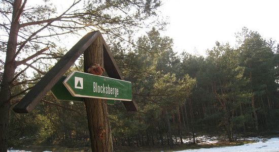 aBlocksbergemitdemZoo
