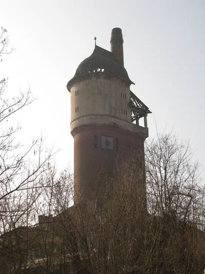 cGolmberg