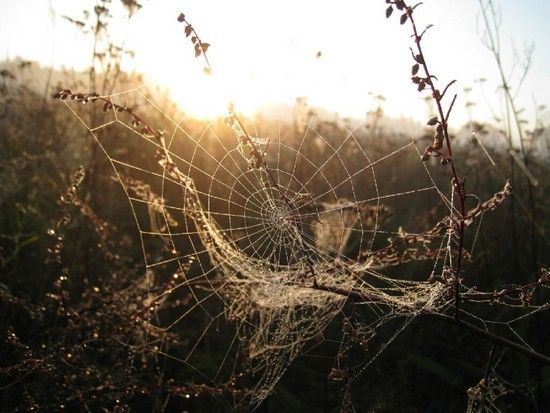 indiansummer