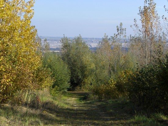 CIMG1744