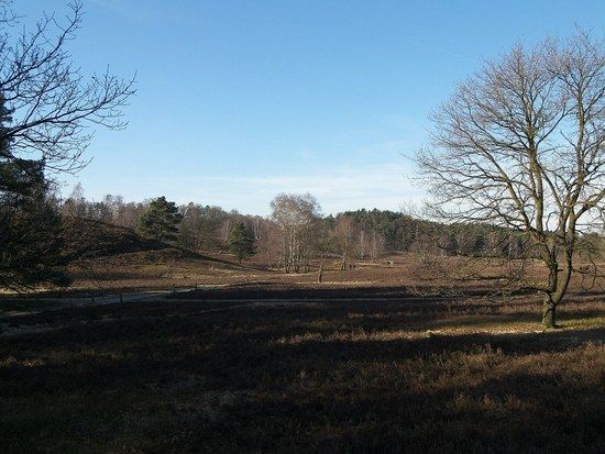 heide