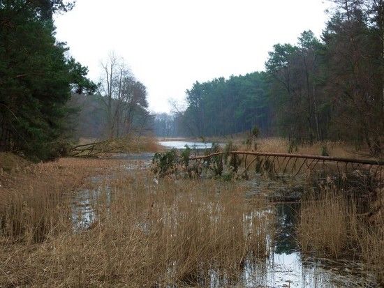 kanal
