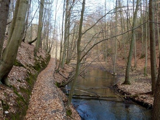 weg schlaube