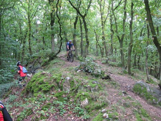 BIKETREFF 06 09 08 0321