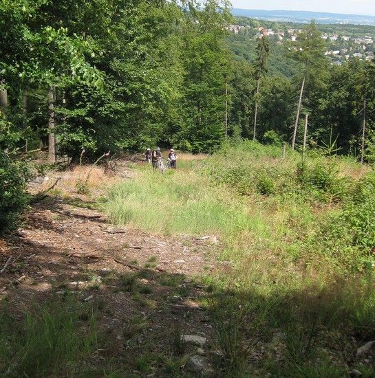 Biketreff 11 07 09b