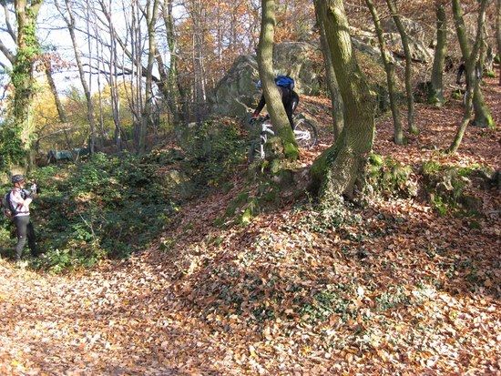 Biketreff 11 10 08b
