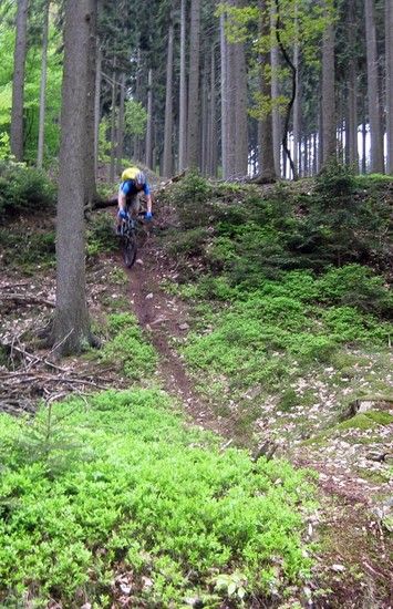 Biketreff 15 05 10 a