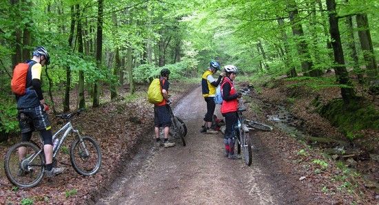 Biketreff 18 04 09