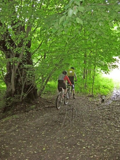Taunus 16-05-2009 a