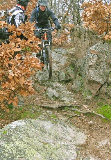 waldi in aktion