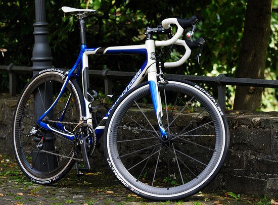 synapse laterne