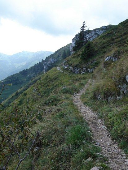 Monte Baldo - 650