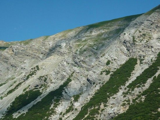 wer findet den Trail?