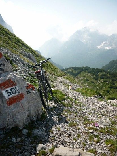 Brenta 301