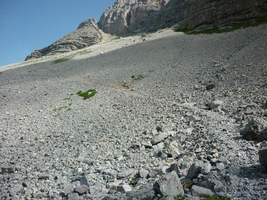 &quot;Steinwüste&quot; in der Brenta