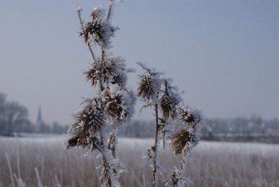 eiszeit5