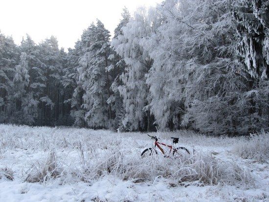 winterrad