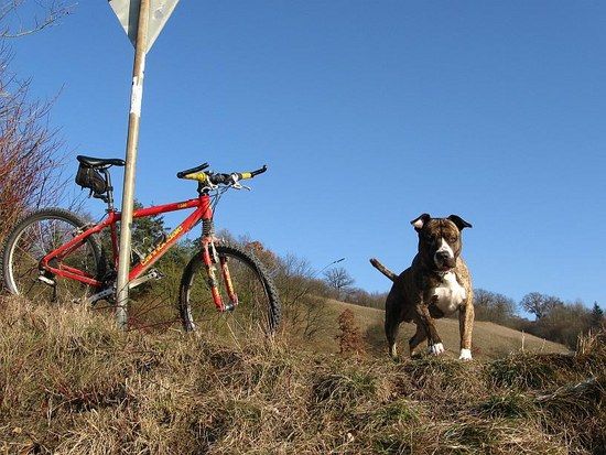 wollte nur spielen