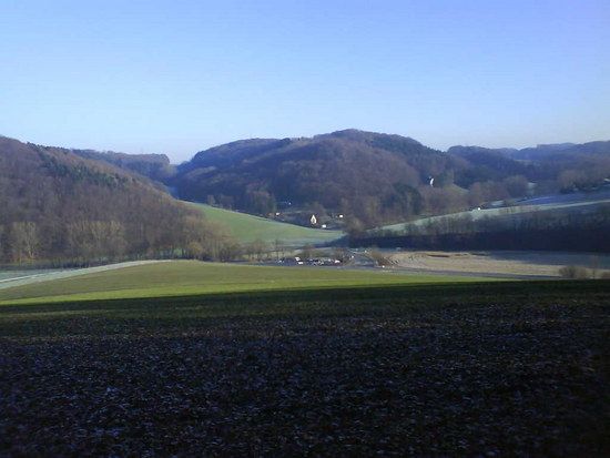 DSC00333 1231494516