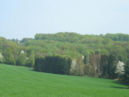IMG 0910