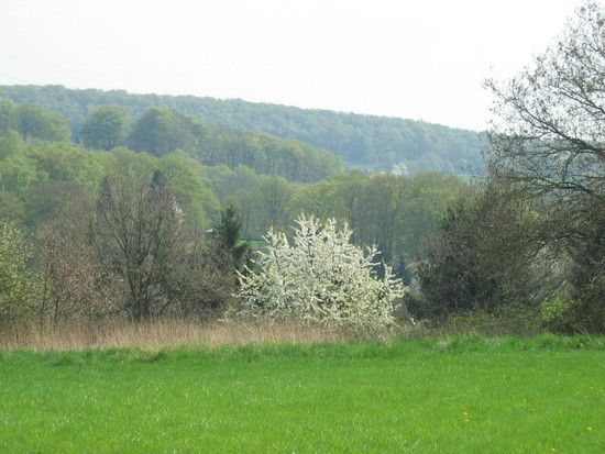 IMG 0911
