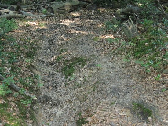 IMG 0955